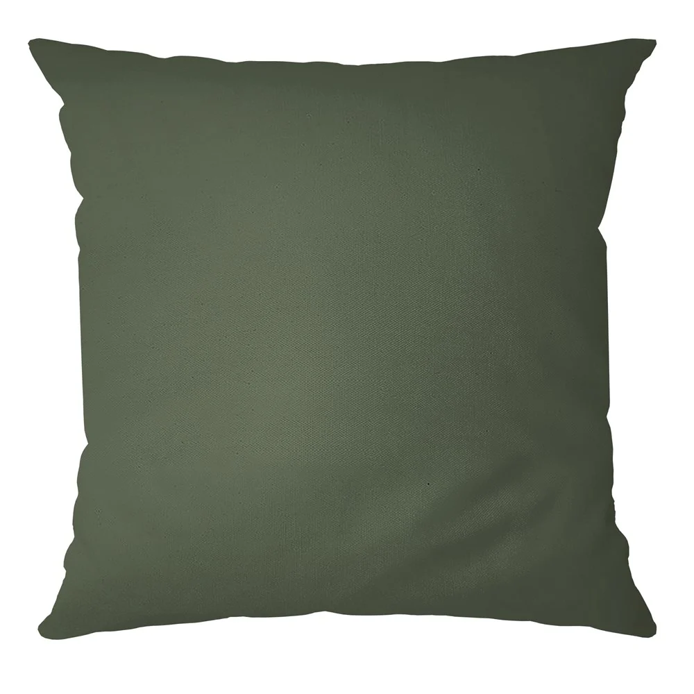 Capa de Almofada Velveteen 43x43 Verde Sálvia sala 818 Belchior